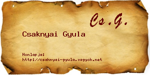 Csaknyai Gyula névjegykártya