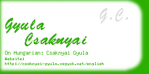 gyula csaknyai business card